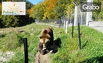 Еднодневна екскурзия до Белица и Добърско на 20 Април, с посещение на Парка за танцуващи мечки