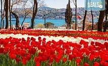 Екскурзия до Истанбул за Фестивала на лалето с Рикотур! 2 нощувки със закуски в хотел 3*, транспорт и водач