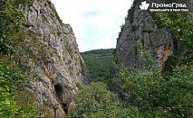Екскурзия до Трън и Власинското езеро: Природа и култура