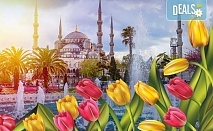 Фестивал на лалето в Истанбул! 3 нощувки със закуски в хотел 3*, транспорт, водач и посещение на Одрин с ТА Поход