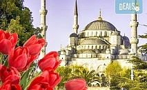 Фестивал на лалето в Истанбул! 2 нощувки със закуски в Golden Tulip Istanbul Bayrampasa 5*, транспорт от Варна и Бургас и трансфер до Емирган парк