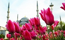  Фестивал на лалето в Истанбул! Транспорт + 3 нощувки на човек със закуски в хотел 3* или 4* от Караджъ турс 