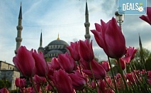 Фестивал на лалето 2024 в мегаполиса Истанбул! 2 нощувки със закуски в хотел 3*посещение на Одрин и транспорт от Роял Холидейз