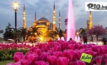 Посетете Фестивала на лалето в Истанбул през Април! 3 нощувки, закуски в хотел 3* + екскурзовод, транспорт и възможност за отпътуване от Враца, Мездра и Ботевград, от Молина Травел