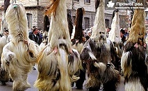 Сурва в Перник - Международен фестивал на маскарадните игри (еднодневна) за 16 лв.