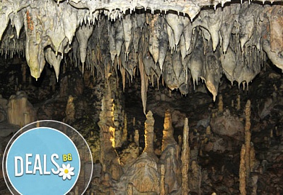 1 ден, май/юли, пещерата Снежанка, крепостта Цепина: транспорт, екскурзовод