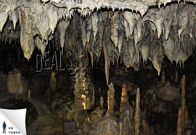 1 ден, пещера Снежанка,парк Дорково : транспорт, екскурзовод, 35лв с Елея Тур