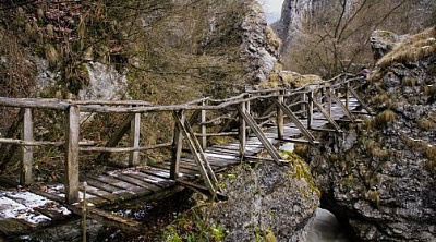 Еднодневна екскурзия до Власинското езеро и гр. Трън само за 22лв.! 