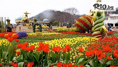 Екскурзия до Фестивал Лале в Истанбул с 2 нощувки 3* хотел