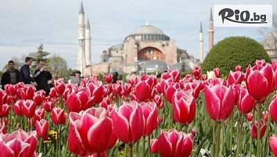 Екскурзия за фестивала на лалето в Истанбул с посещение на Одрин