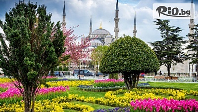Екскурзия за Фестивала на Лалето в Истанбул с посещение на Принцовите острови! 2 нощувки със закуски в луксозен спа хотел по избор + транспорт от София, от Караджъ Турс