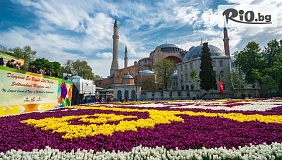 Екскурзия до Истанбул за Фестивала на лалето! 2 нощувки със закуски + транспорт и посещение на Одрин, от ТА Поход