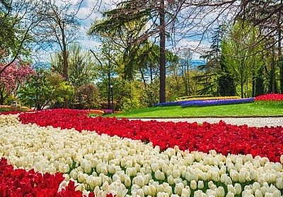 Екскурзия до Истанбул, Турция: Фестивал на лалето с автобусен транспорт и нощувки на закуска