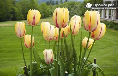 Екскурзия до Вълшебен Истанбул и Одрин с 2 нощувки във Vatan Azur 4*