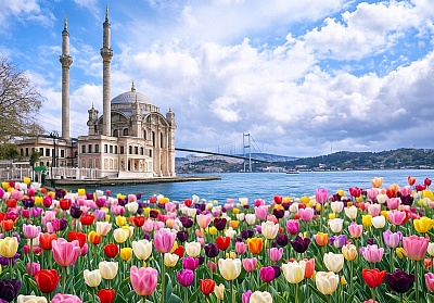 Фестивал на лалетата в Истанбул с 2 нощувки и закуски в хотел 4 звезди