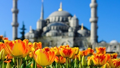 Фестивал на лалето 2026 в Истанбул: Екскурзия с 3 нощувки и посещение на Одрин