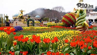 Фестивал на Лалето: Истанбул - екскурзия с 3 нощувки и посещение на Одрин