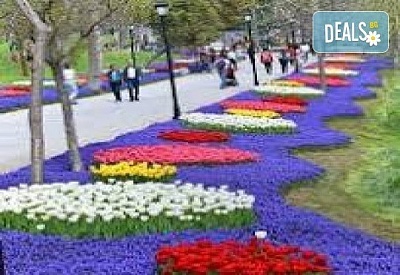 Фестивал на лалето в Истанбул - цветове и красоти, тур с Одрин
