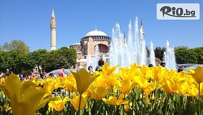 Фестивал на лалето в Истанбул: Март с 2 нощувки, закуски и екскурзовод