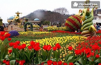 Фестивал на лалето в Истанбул и посещение на Одрин, 5 дни/3 нощувки