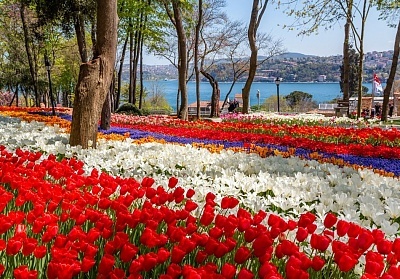 Фестивал на лалето в Истанбул с престижни нощувки в Ilkbal Deluxe Hotel