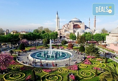 Фестивал на лалето през април в Истанбул! 2 нощувки със закуски в Courtyard By Marriott Istanbul International Airport 4*, транспорт, посещение на Принцовите острови