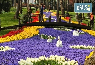 Фестивал на лалето и забележителности в Истанбул - 4-звезден хотел и закуски