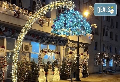 Коледна приказка: Еднодневна екскурзия до красивите коледни базари в Крайова