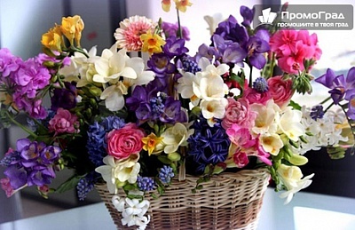 8-и март в Делчево с посещение на Щип в хотел Попова кула