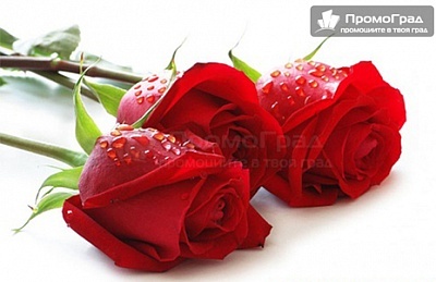 8-и март в Охрид с посещение на Скопие - вълнуващо приключение