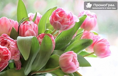 8 Март Пирот: Нощувка със закуска и вечеря с музика