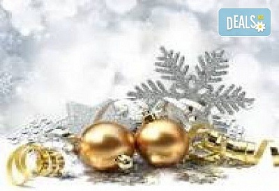 Нова година в Етно село Стара планина, Сърбия с вечери, музика и транспорт