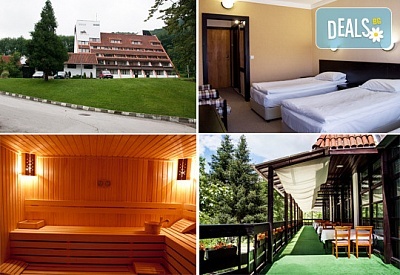 Нова година в Хотел Еверест, Етрополе: Закуска, обяд, вечеря, празнична програма