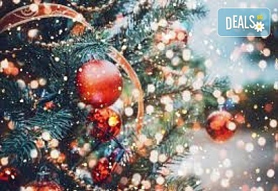 Нова Година в хотел PARK 5*, Върнячка баня, Сърбия! 3 нощувки, закуски, Празнична вечеря, Реприза, жива музика, СПА, от Рикотур