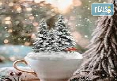 Нова година в Сърбия: HOTEL GOLUBACKI GRAD, Голубац - 2-3 нощувки