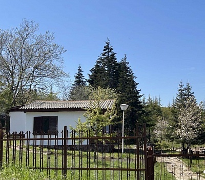 Нова година в Шкорпиловци - празнувай сред природата с Бунгала Виктори