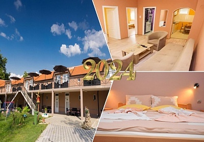 Нова година в Соко баня, Сърбия! 3 нощувки на човек със закуски в Apartmani ROSHU + 3 вечери, две от които Празнични с жива музика и неограничено количество напитки