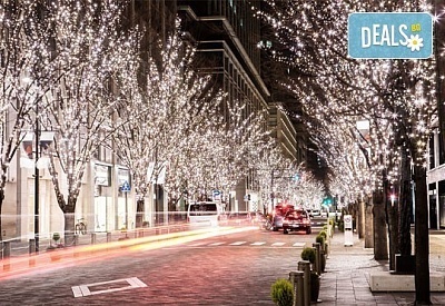 Открийте магията на Коледа с коледните базари в Будапеща и Виена