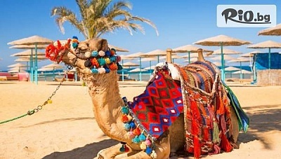 Екзотична почивка в Хургада, Египет с полет от София и All Inclusive