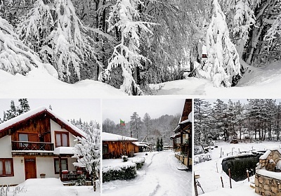 Почивка край Разлог в самостоятелна къща Комплекс Шипоко с възможност за закуска