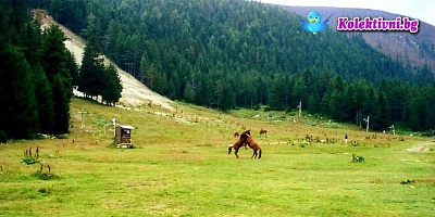 Почивка в красивата Рила планина! Нощувка + Закуска + Вечеря само за 24.50 лв. вместо 50 лв. в Хотел Калина, курорт Говедарци!