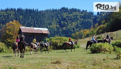 Почивка в Родопите през Май и Юни! Нощувка със закуска и вечеря + 2 часа преход с кон по желание, от Ранчо Диви Родопи