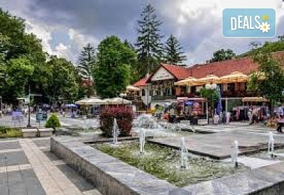 Посрещнете 8 Март в Сърбия, Сокобаня: 1 нощувка и вечеря с жива музика