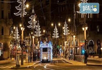 Предколедна екскурзия до Виена с посещение на забележителности и коледни базари