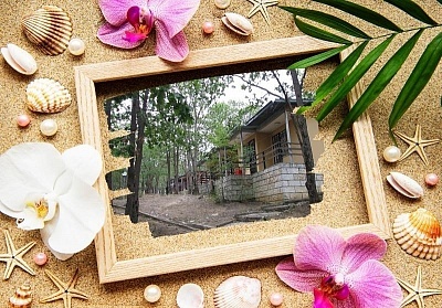 Ранни запивания за лято 2026 в Комплекс Дъбрава, Шкорпиловци