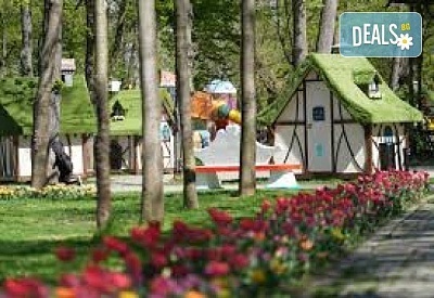 Фестивал на Цветята в Крайова с Посещение на парк 'Никола Романеску'