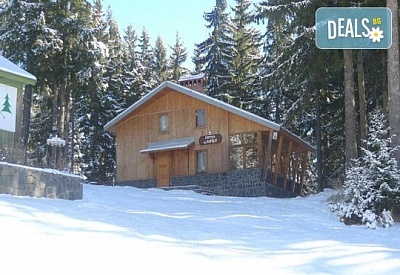 Релакс в планинска вила Елица, Пампорово - настаняване до 12 души с барбекю