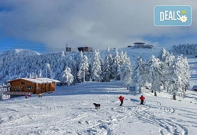 На ски в Румъния през февруари с Дари Травел! 4 нощувки със закуски в хотел Bavaria 3* в Бущени и транспорт