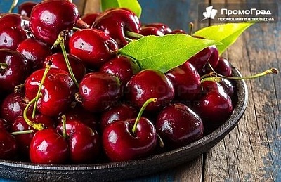 До Текирдаг за фестивала на черешата с посещение на Чорлу и Одрин (1 нощувка със закуска) (нощен преход) за 166 лв.