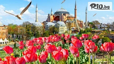 Уикенд екскурзия за фестивала на лалето в Истанбул с посещение на Одрин